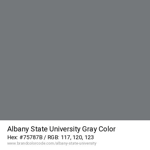 Albany State University's Gray color solid image preview
