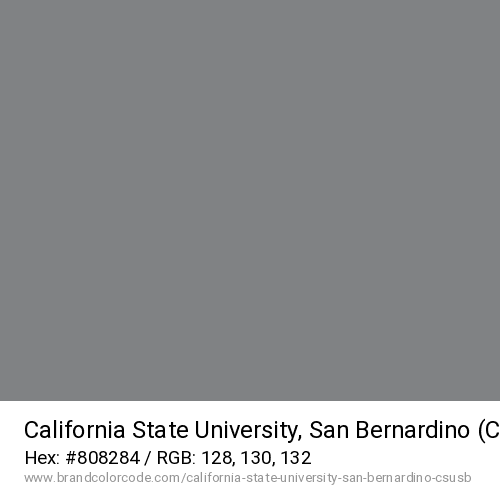 California State University, San Bernardino (CSUSB)'s CSUSB Gray color solid image preview