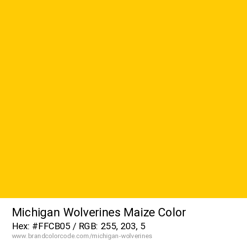 Michigan Wolverines's Maize color solid image preview