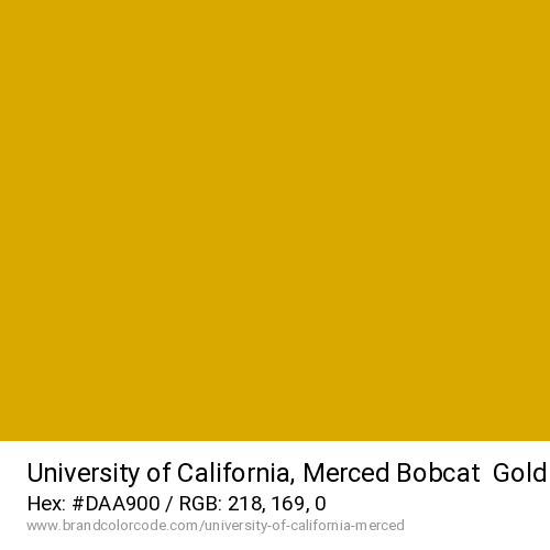 University of California, Merced's Bobcat  Gold color solid image preview