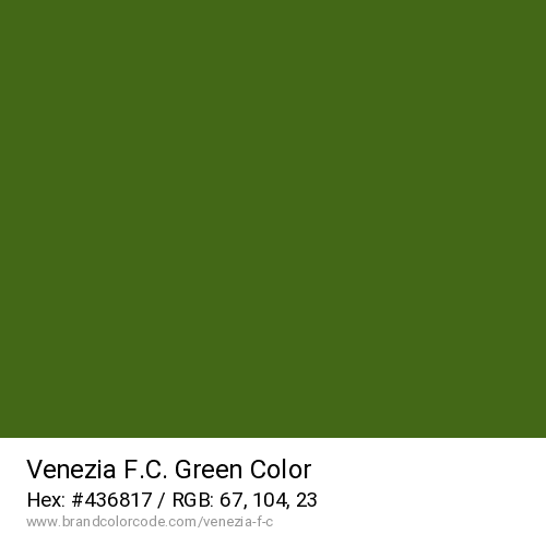 Venezia F.C.'s Green color solid image preview