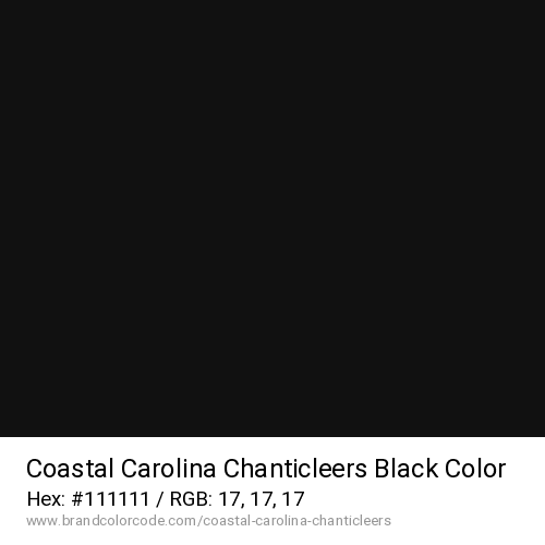Coastal Carolina Chanticleers's Black color solid image preview