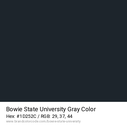 Bowie State University's Gray color solid image preview
