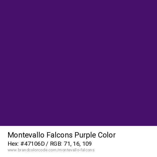 Montevallo Falcons's Purple color solid image preview