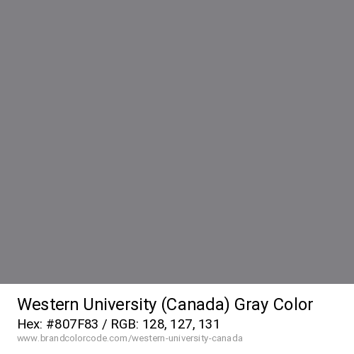 Western University (Canada)'s Gray color solid image preview
