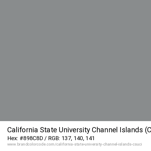 California State University Channel Islands (CSUCI)'s Silver color solid image preview