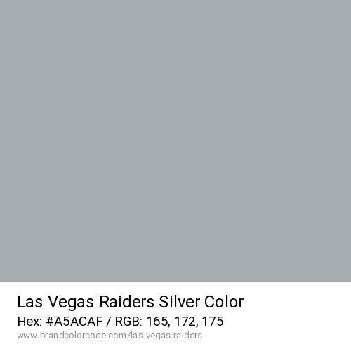 Las Vegas Raiders's Silver color solid image preview