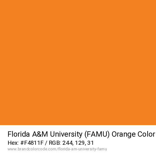 Florida A&M University (FAMU)'s Orange color solid image preview