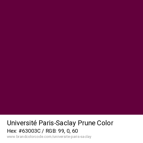 Université Paris-Saclay's Prune color solid image preview