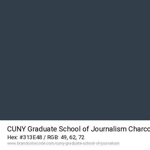 CUNY Graduate School of Journalism's Charcoal Gray color solid image preview