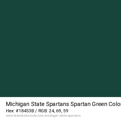 Michigan State Spartans's Spartan Green color solid image preview