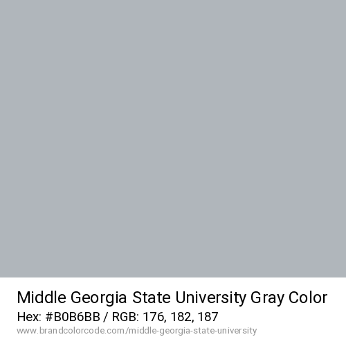 Middle Georgia State University's Gray color solid image preview