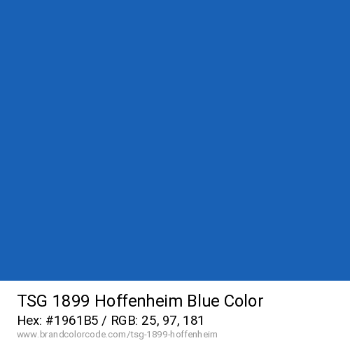 TSG 1899 Hoffenheim's Blue color solid image preview