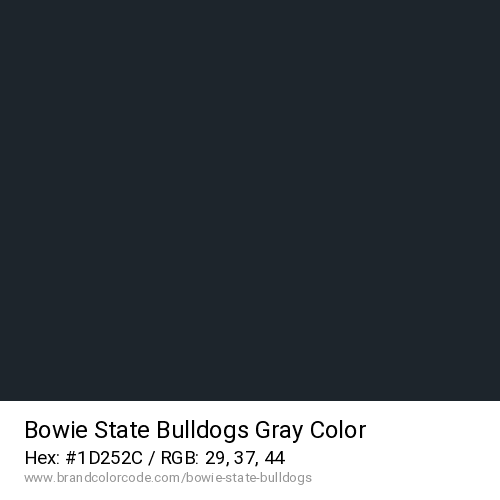 Bowie State Bulldogs's Gray color solid image preview