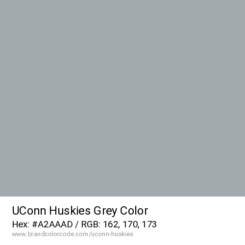 UConn Huskies's Grey color solid image preview