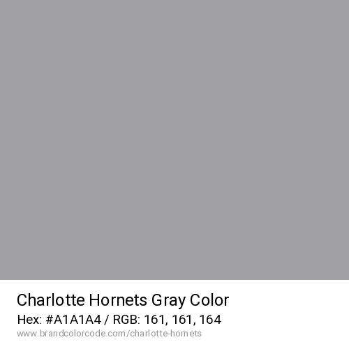 Charlotte Hornets's Gray color solid image preview
