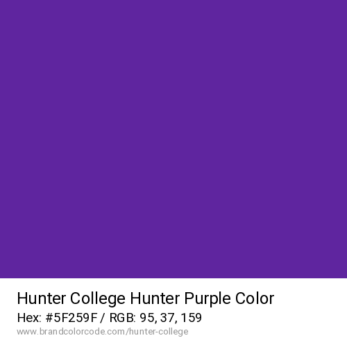 Hunter College's Hunter Purple color solid image preview