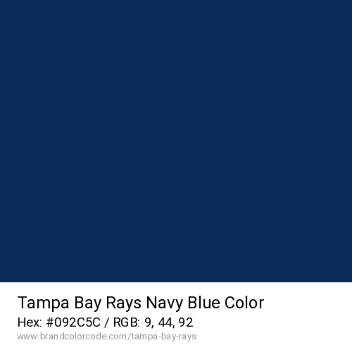 Tampa Bay Rays's Navy Blue color solid image preview