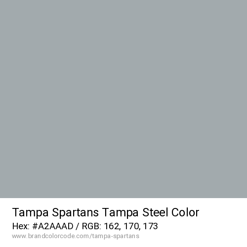 Tampa Spartans's Tampa Steel color solid image preview