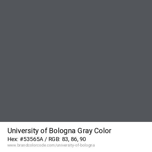 University of Bologna's Gray color solid image preview