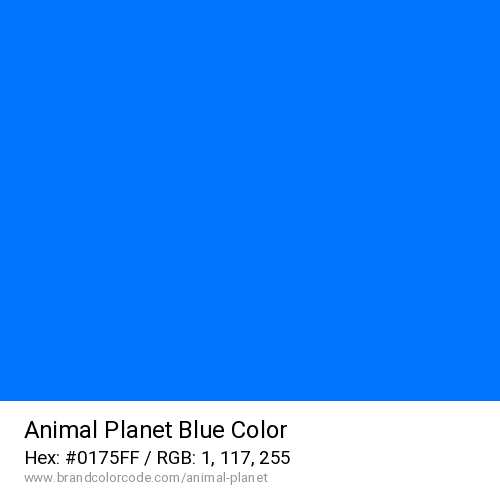 Animal Planet's Blue color solid image preview