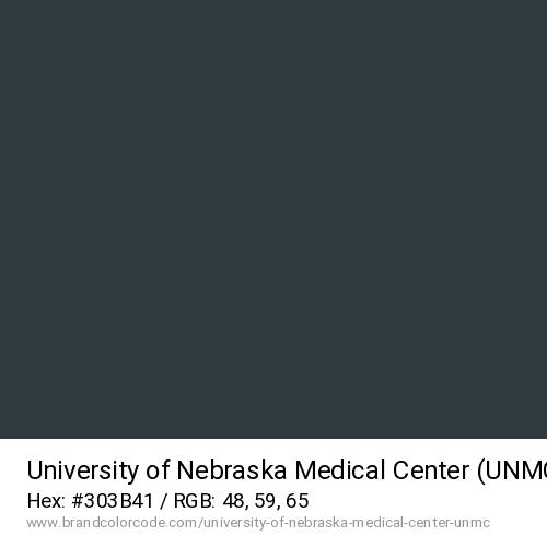 University of Nebraska Medical Center (UNMC)'s Gray color solid image preview