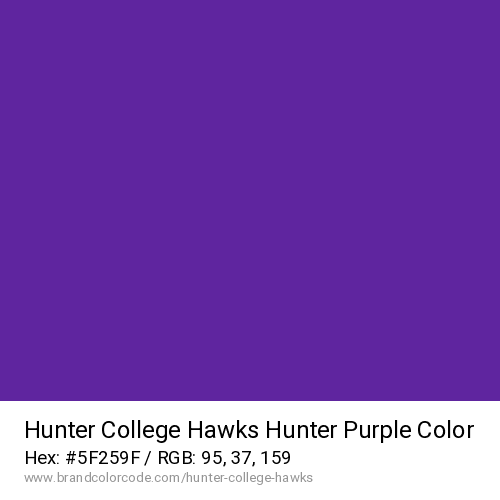 Hunter College Hawks's Hunter Purple color solid image preview