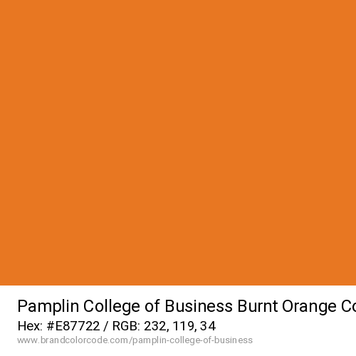 Pamplin College of Business's Burnt Orange color solid image preview