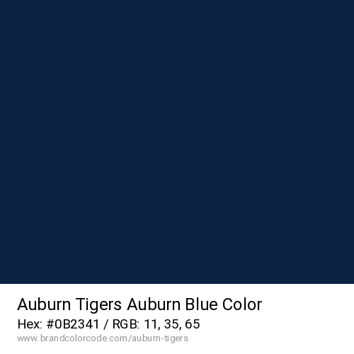 Auburn Tigers's Auburn Blue color solid image preview