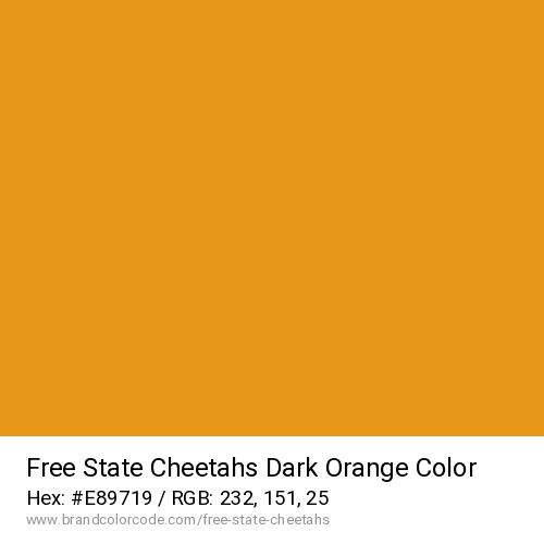 Free State Cheetahs's Dark Orange color solid image preview