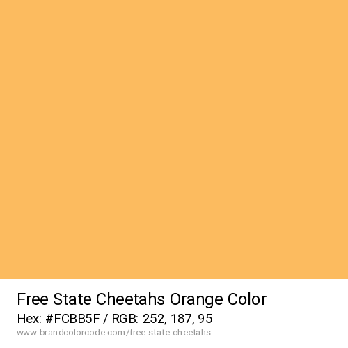 Free State Cheetahs's Orange color solid image preview