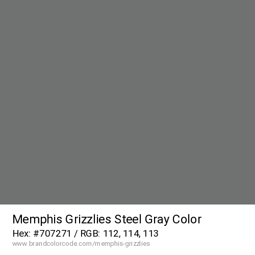 Memphis Grizzlies's Steel Gray color solid image preview
