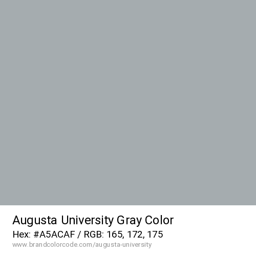 Augusta University's Gray color solid image preview