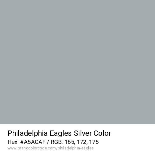 Philadelphia Eagles's Silver color solid image preview