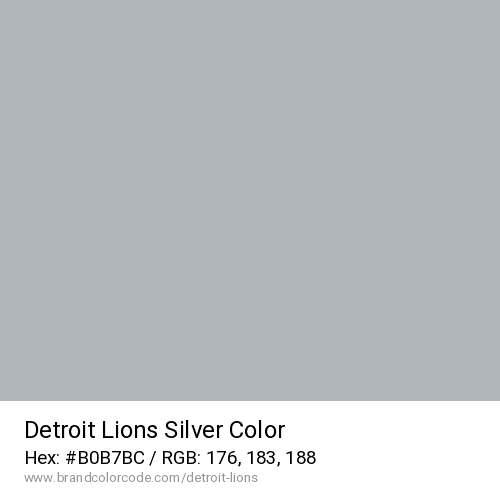 Detroit Lions's Silver color solid image preview