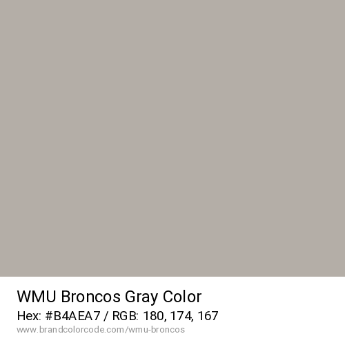 WMU Broncos's Gray color solid image preview