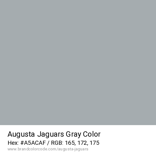 Augusta Jaguars's Gray color solid image preview