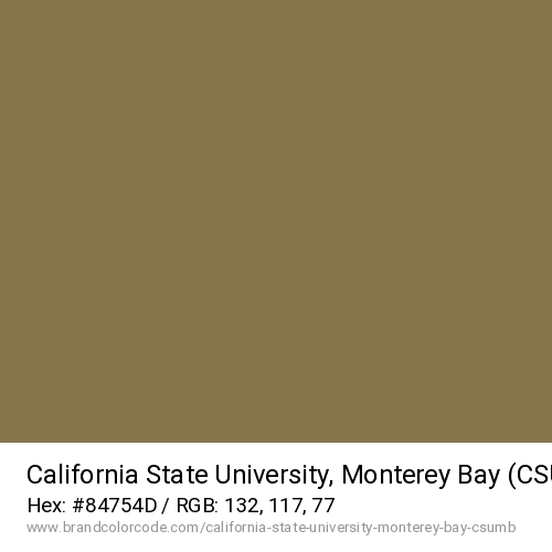California State University, Monterey Bay (CSUMB)'s Golden Sand color solid image preview