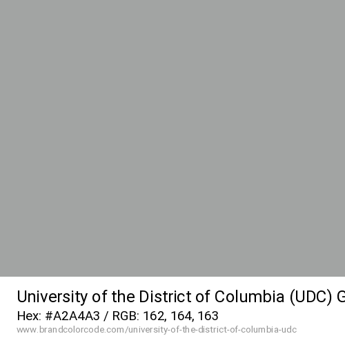 University of the District of Columbia (UDC)'s Gray color solid image preview