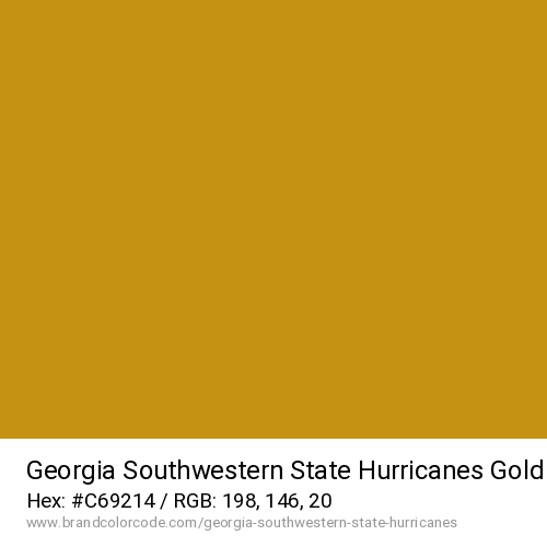 Georgia Southwestern State Hurricanes's Gold color solid image preview