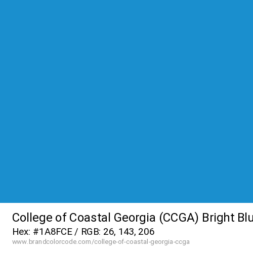 College of Coastal Georgia (CCGA)'s Bright Blue color solid image preview