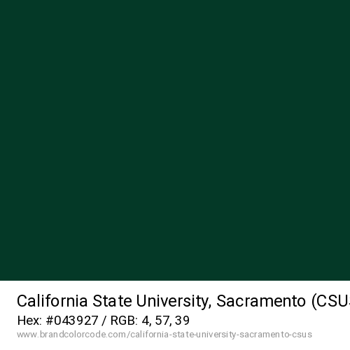 California State University, Sacramento (CSUS)'s Sac Slate Green color solid image preview