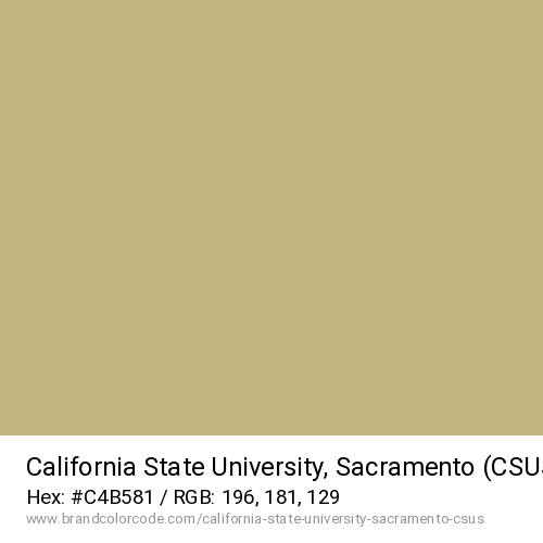 California State University, Sacramento (CSUS)'s  Sac Slate Gold color solid image preview