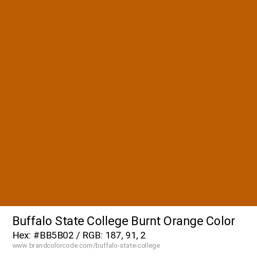 Buffalo State College's Burnt Orange color solid image preview