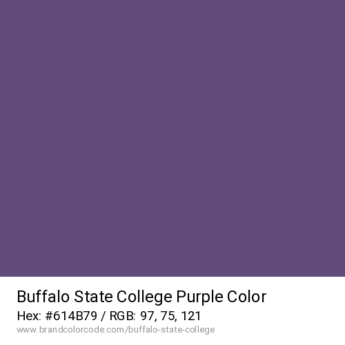 Buffalo State College's Purple color solid image preview