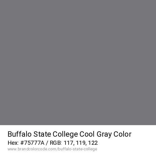Buffalo State College's Cool Gray color solid image preview