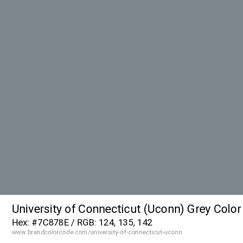 University of Connecticut (Uconn)'s Grey color solid image preview