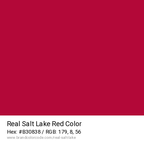 Real Salt Lake's Red color solid image preview