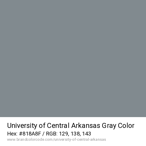 University of Central Arkansas's Gray color solid image preview