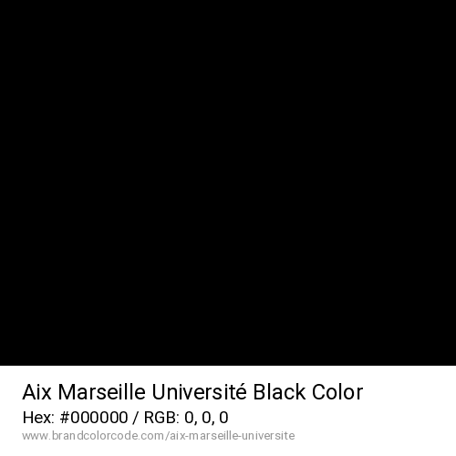 Aix Marseille Université's Black color solid image preview